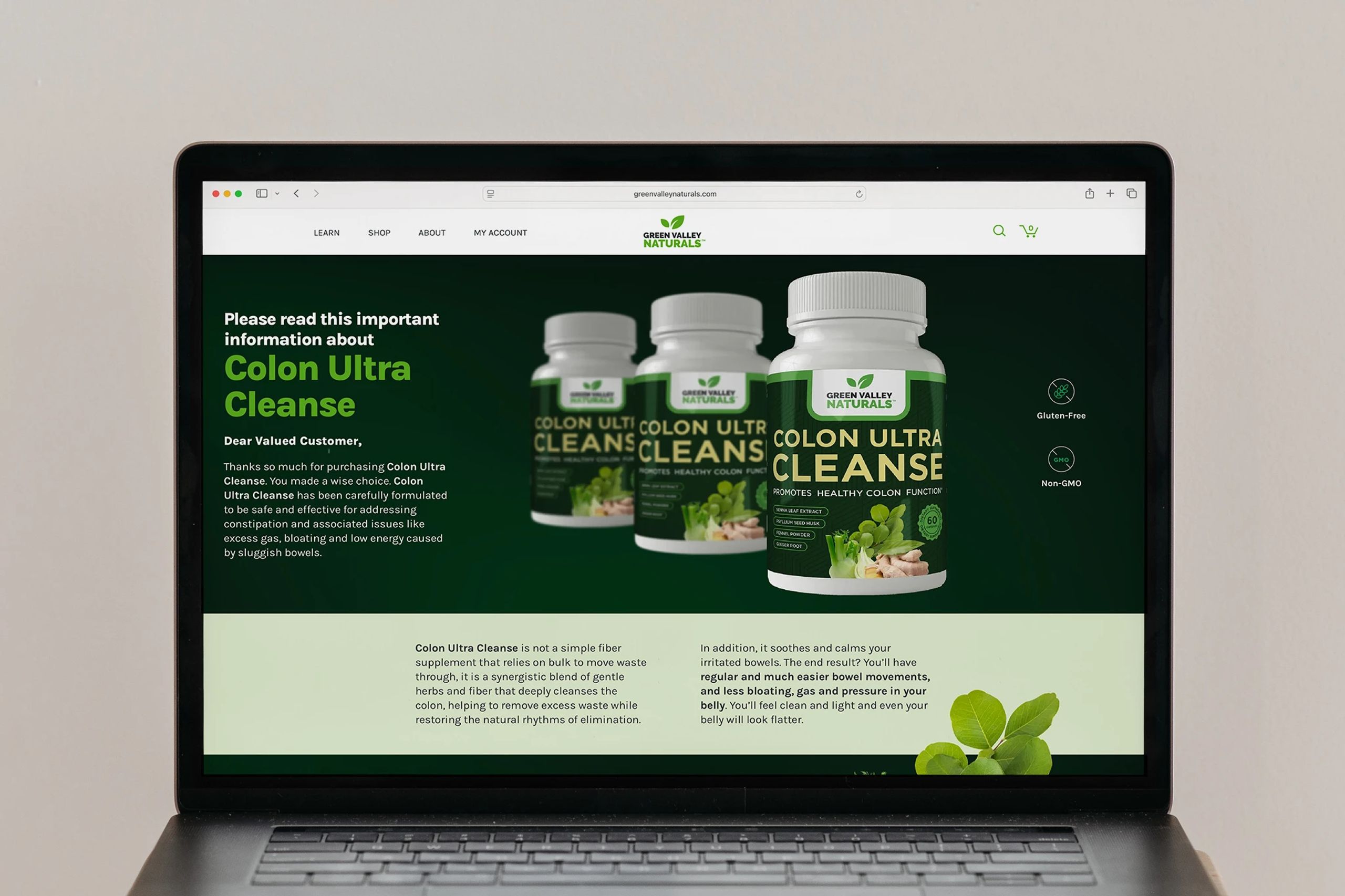GVN Product Landing Page