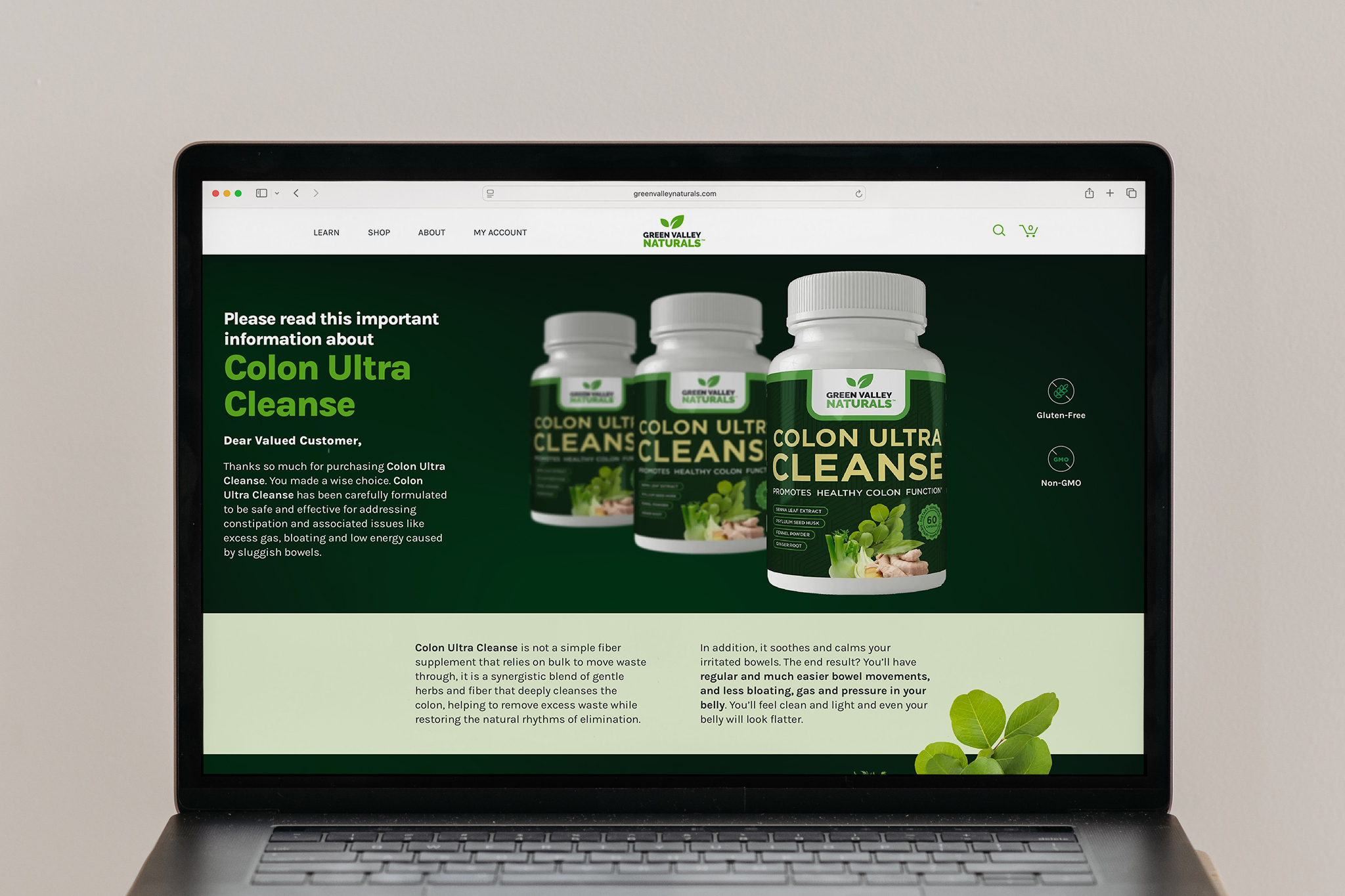 GVN Product Landing Page